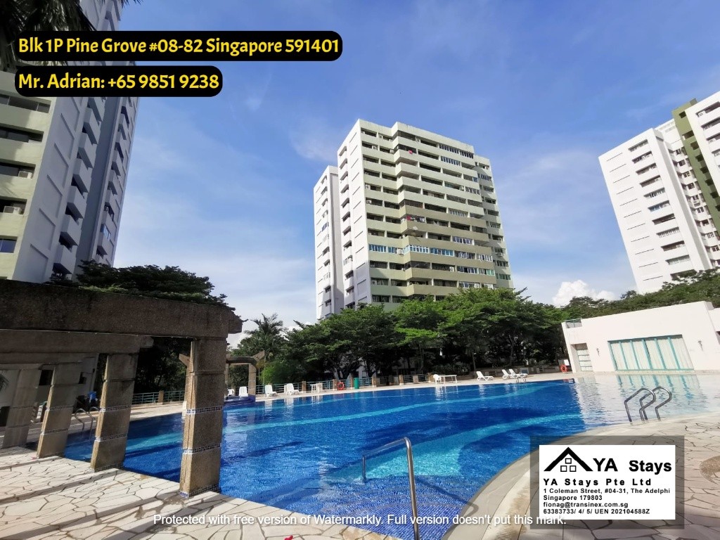 Bouna Vista MRT - Gym/Pool Condo - Pine Grove - Common Room - Buona Vista - Bedroom - Homates Singapore