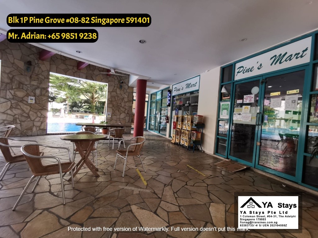 Bouna Vista MRT - Gym/Pool Condo - Pine Grove - Common Room - Buona Vista - Bedroom - Homates Singapore