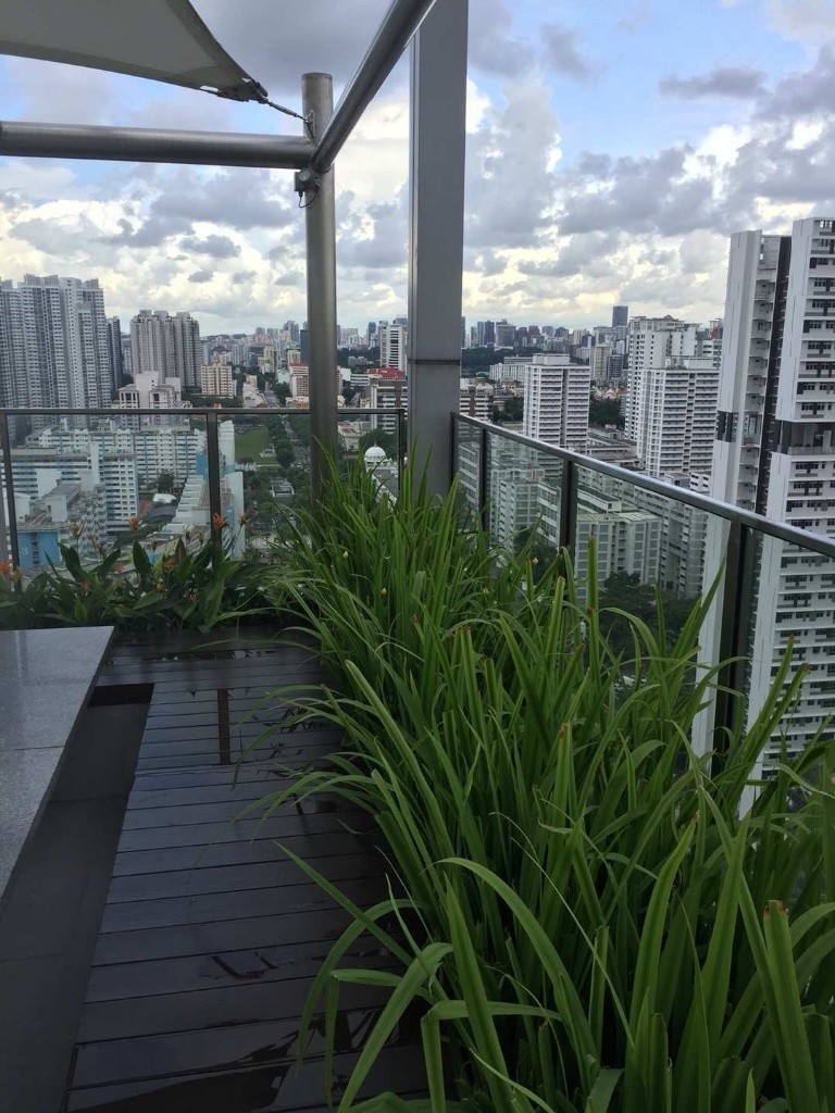Brand new condo Eight Riversuites is available on 15/8, just 5 mins walk to Boon keng MRT,Bendemeer food center,.whatsapp owner 98562067 to view room. - Boon Keng - Flat - Homates Singapore