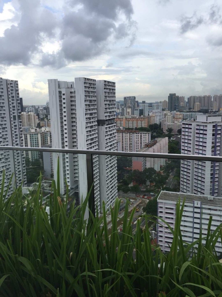 Brand new condo Eight Riversuites is available on 15/8, just 5 mins walk to Boon keng MRT,Bendemeer food center,.whatsapp owner 98562067 to view room. - Boon Keng - Flat - Homates Singapore