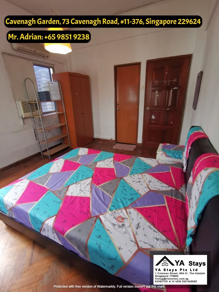 Near Orchard / Common Room / Cavenagh Garden - Orchard - Bedroom - Homates Singapore