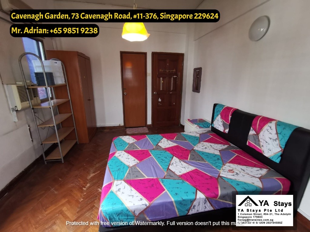 Near Orchard / Common Room / Cavenagh Garden - Orchard - Bedroom - Homates Singapore