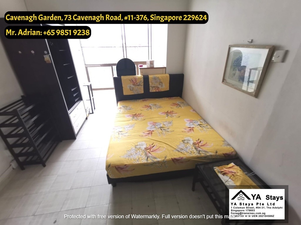 Little India MRT/Near Orchard/ Bukit Timah/Cavenagh Garden - Little India - Bedroom - Homates Singapore