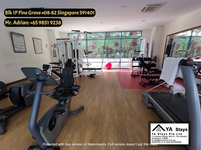 Bukit Timah -Full Facilities/Gym/Pool and Tennis Court -Common Room - Pine Grove - Bukit Timah - Bedroom - Homates Singapore