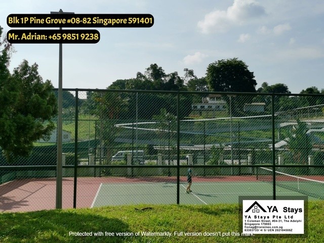 Bukit Timah -Full Facilities/Gym/Pool and Tennis Court -Common Room - Pine Grove - Bukit Timah - Bedroom - Homates Singapore