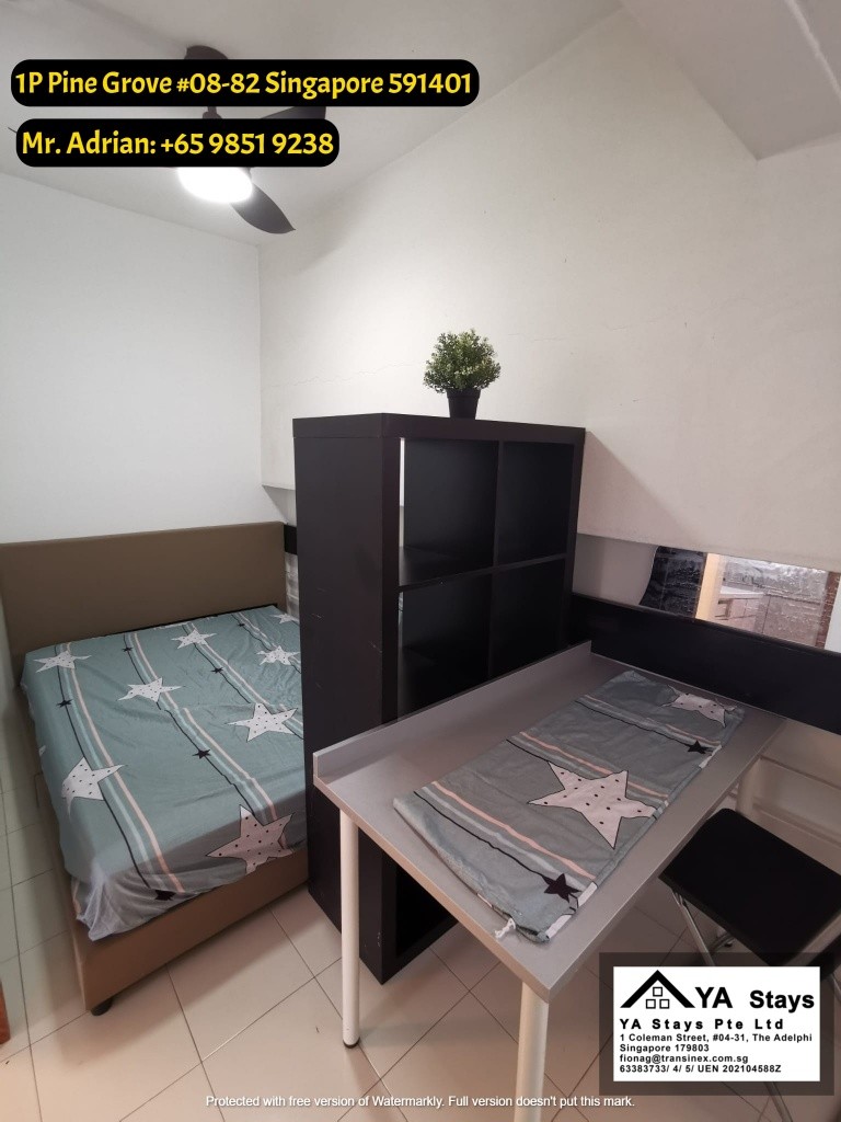 Bukit Timah -Full Facilities/Gym/Pool and Tennis Court -Common Room - Pine Grove - Bukit Timah - Bedroom - Homates Singapore