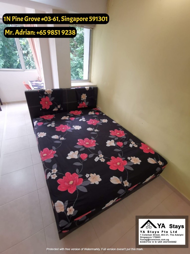 Clementi MRT - Gym/Pool Condo - Pine Grove - Common Room - Clementi 金文泰 - 分租房间 - Homates 新加坡