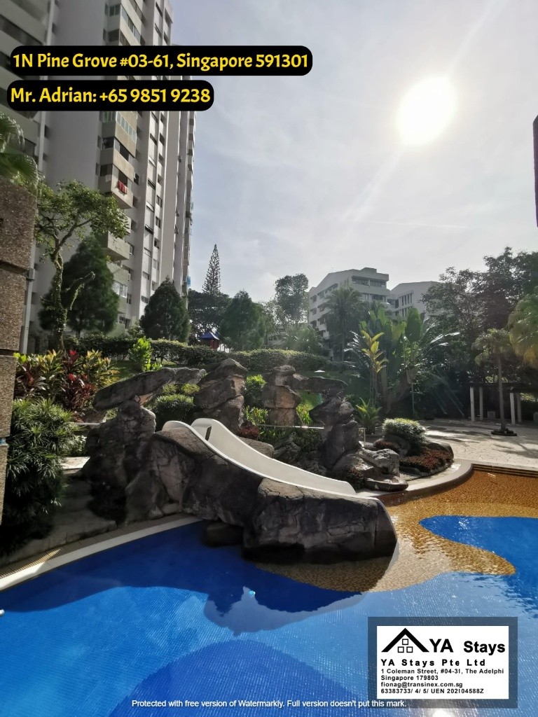 Clementi MRT - Gym/Pool Condo - Pine Grove - Common Room - Clementi 金文泰 - 分租房间 - Homates 新加坡