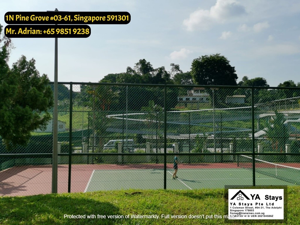 Clementi MRT - Gym/Pool Condo - Pine Grove - Common Room - Clementi 金文泰 - 分租房间 - Homates 新加坡