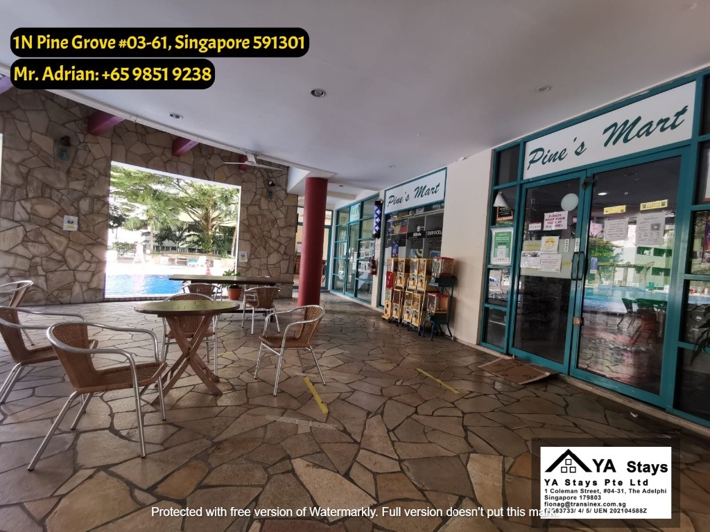 Clementi MRT - Gym/Pool Condo - Pine Grove - Common Room - Clementi 金文泰 - 分租房间 - Homates 新加坡