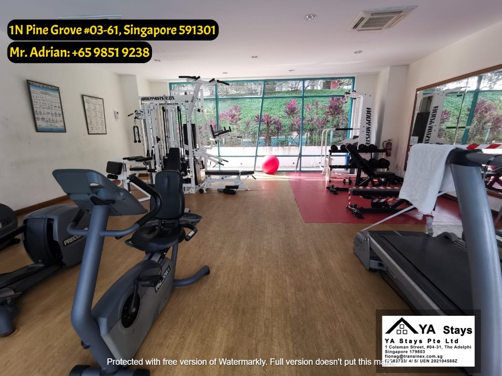 Clementi MRT - Gym/Pool Condo - Pine Grove - Common Room - Clementi 金文泰 - 分租房间 - Homates 新加坡