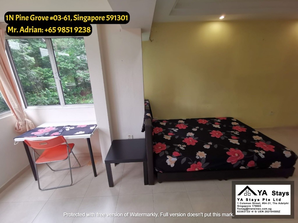 Clementi MRT - Gym/Pool Condo - Pine Grove - Common Room - Clementi 金文泰 - 分租房间 - Homates 新加坡