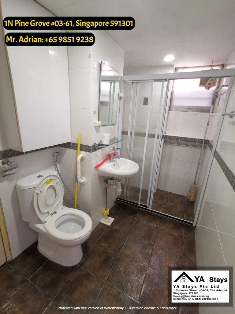 Clementi MRT - Gym/Pool Condo - Pine Grove - Common Room - Clementi 金文泰 - 分租房间 - Homates 新加坡