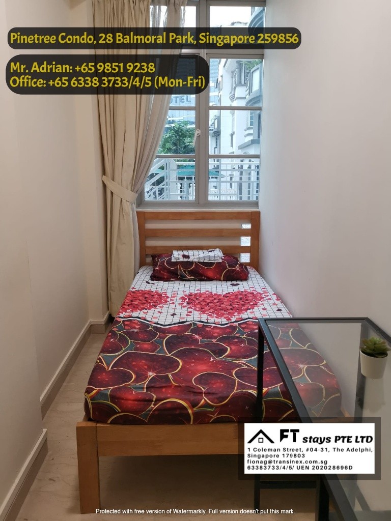 Stevens MRT / Pool Condo / Pinetree Condo /Common Room - Stevens - Bedroom - Homates Singapore