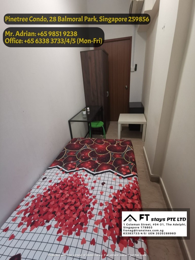 Stevens MRT / Pool Condo / Pinetree Condo /Common Room - Stevens - Bedroom - Homates Singapore