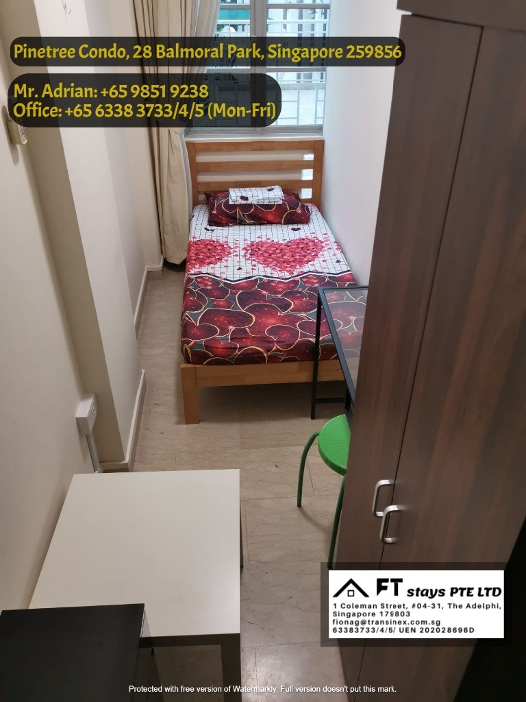 Stevens MRT / Pool Condo / Pinetree Condo /Common Room - Stevens - Bedroom - Homates Singapore
