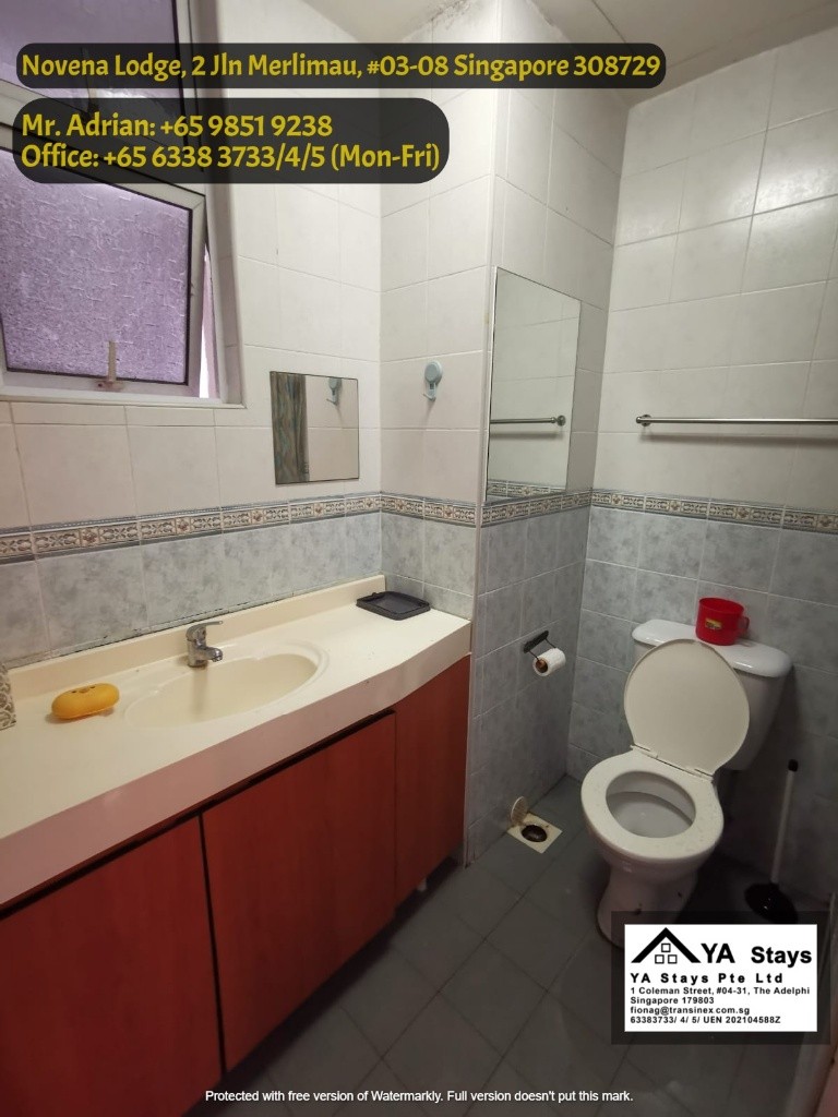 Novena Lodge/ Novena MRT/Newton MRT/Mount Pleasant MRT/ Common Room - Novena - Flat - Homates Singapore