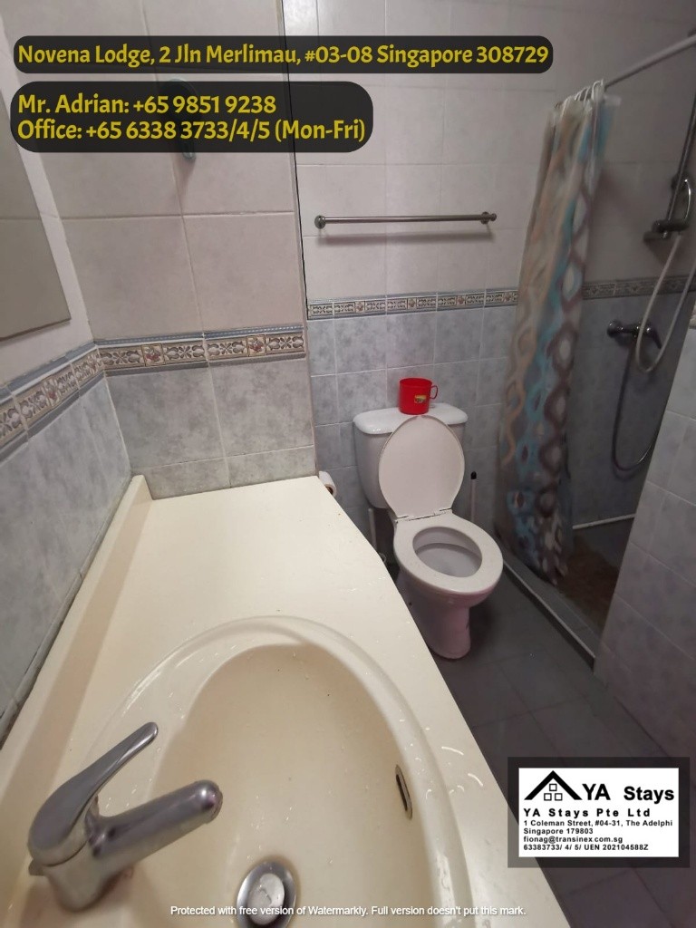 Novena Lodge/ Novena MRT/Newton MRT/Mount Pleasant MRT/ Common Room - Newton - Flat - Homates Singapore