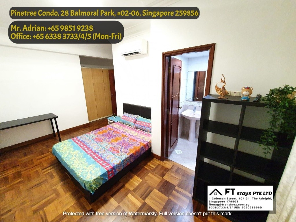 Near Newton MRT/Near Orchard MRT/Stevens MRT/ Master Room/ Pinetree Condo - Bukit Timah - Bedroom - Homates Singapore