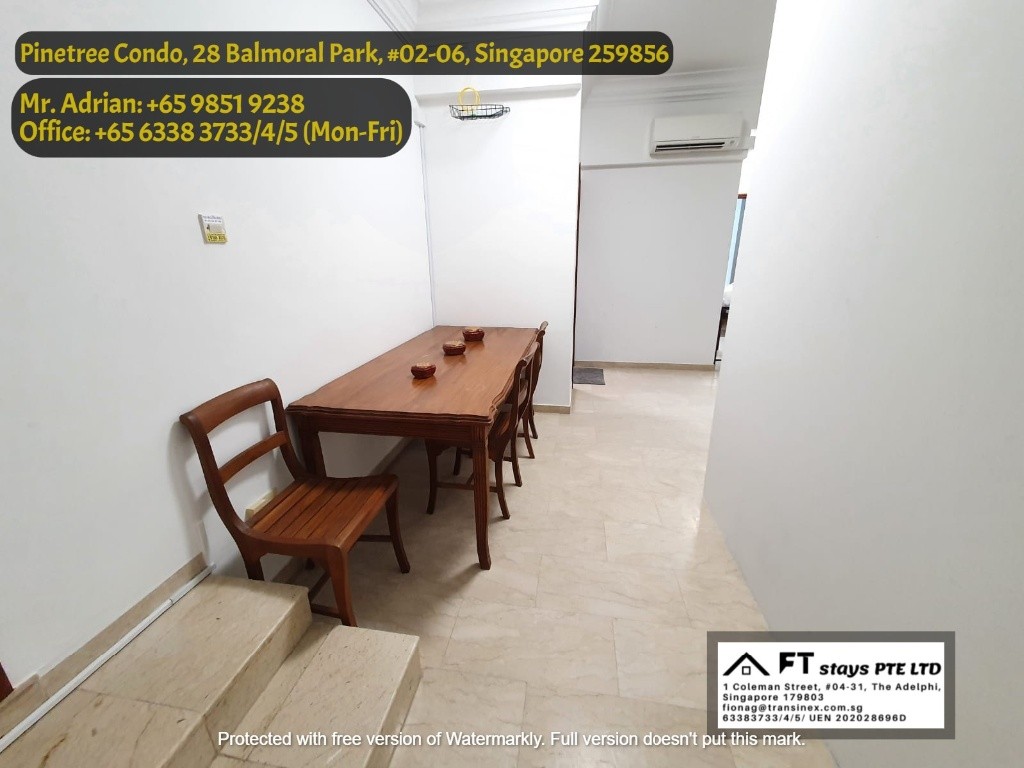 Near Newton MRT/Near Orchard MRT/Stevens MRT/ Master Room/ Pinetree Condo - Bukit Timah - Bedroom - Homates Singapore