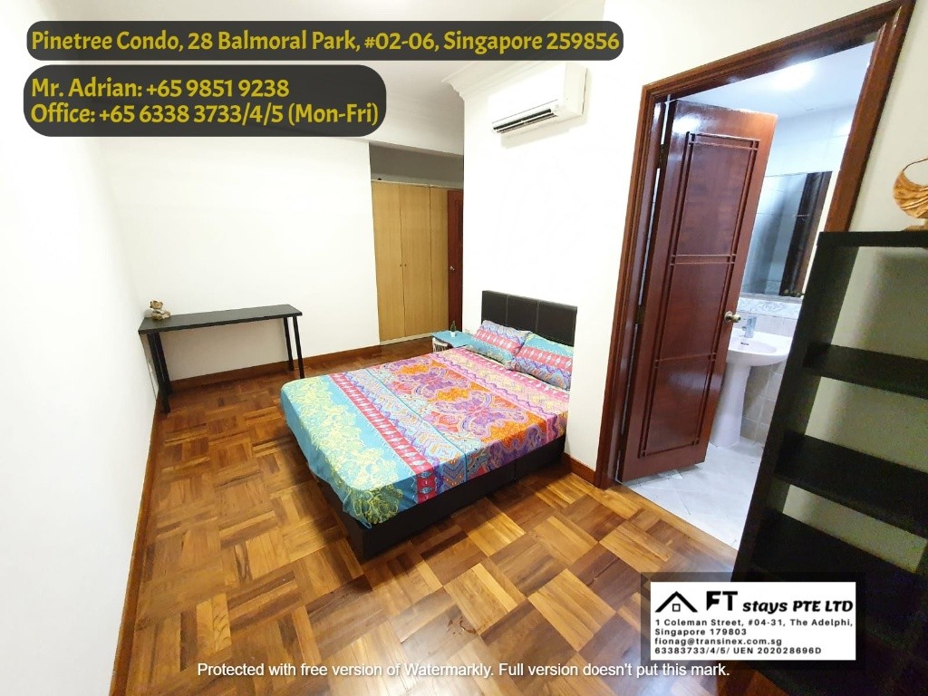 Near Newton MRT/Near Orchard MRT/Stevens MRT/ Master Room/ Pinetree Condo - Bukit Timah - Bedroom - Homates Singapore