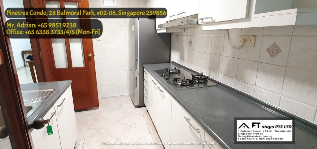 Near Newton MRT/Near Orchard MRT/Stevens MRT/ Master Room/ Pinetree Condo - Bukit Timah - Bedroom - Homates Singapore