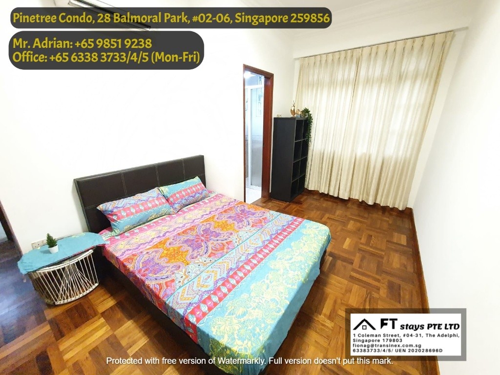 Near Newton MRT/Near Orchard MRT/Stevens MRT/ Master Room/ Pinetree Condo - Bukit Timah - Bedroom - Homates Singapore