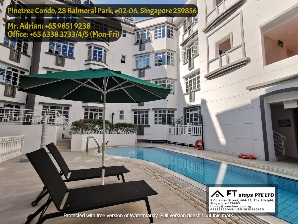 Near Newton MRT/Near Orchard MRT/Stevens MRT/ Master Room/ Pinetree Condo - Bukit Timah - Bedroom - Homates Singapore