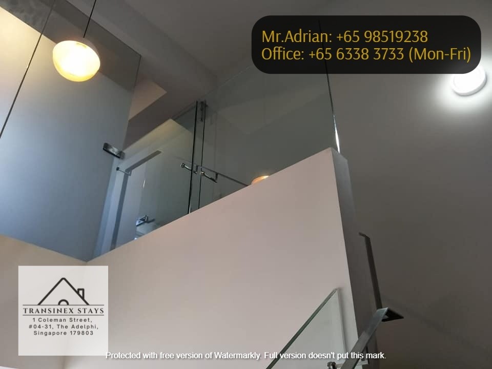 Altez (1 Bed + 1 Bath Spacious Premium Loft Apartment) - Tanjong Pagar - Flat - Homates Singapore