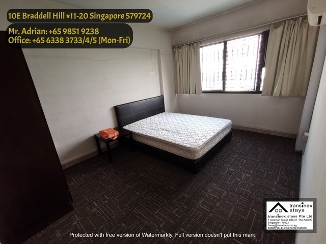 Braddell MRT / Marymount MRT / Caldecott MRT/ Room in Braddell View - Caldecott 加利谷 - 分租房间 - Homates 新加坡