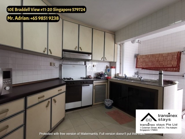 Braddell MRT / Marymount MRT / Caldecott MRT/ Room in Braddell View - Caldecott 加利谷 - 分租房间 - Homates 新加坡