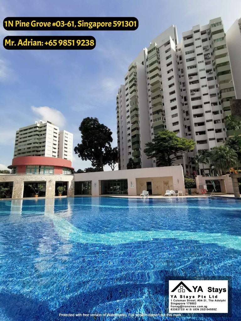 1N Pine Grove #03-61, Singapore 591301 - Buona Vista - Bedroom - Homates Singapore