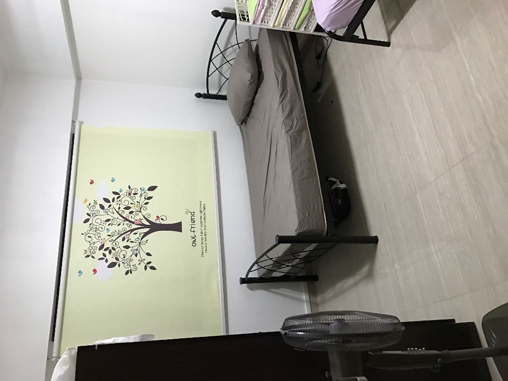 男搭房 - Yishun 义顺 - 分租床位 - Homates 新加坡