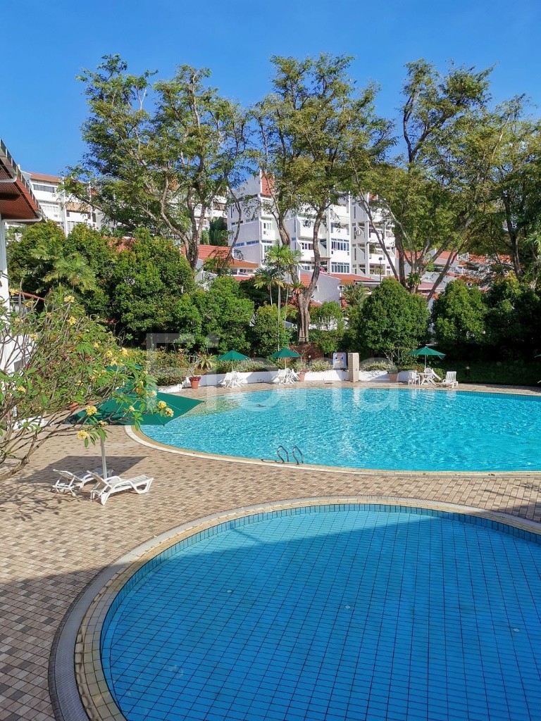 Beauty World MRT / Clementi MRT / King Albert Park MRT / Available 02May - Bukit Timah - Flat - Homates Singapore