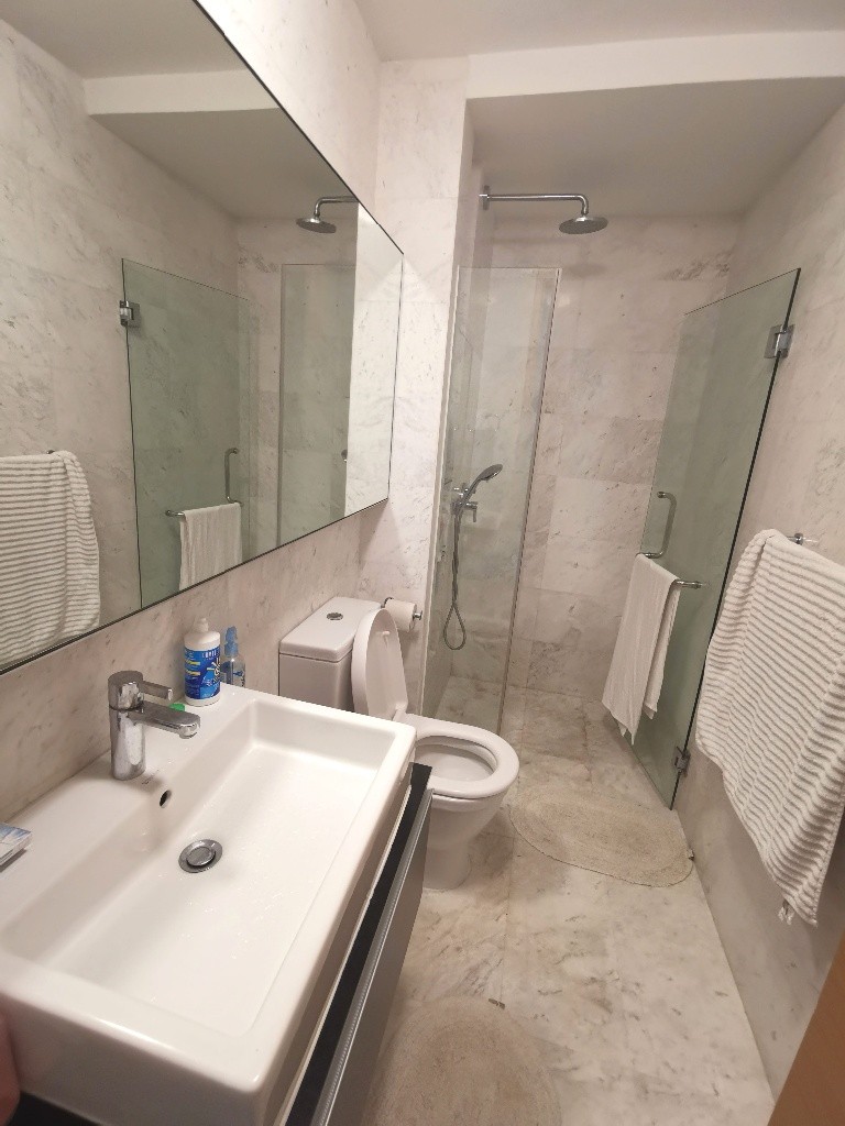 Apartment near to Dhoby Ghaut MRT/Bencoonlen MRT/Rochor MRT/Little India MRT - Rochor 梧槽 - 整个住家 - Homates 新加坡