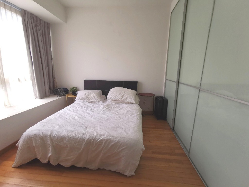 Apartment near to Dhoby Ghaut MRT/Bencoonlen MRT/Rochor MRT/Little India MRT - Rochor 梧槽 - 整个住家 - Homates 新加坡