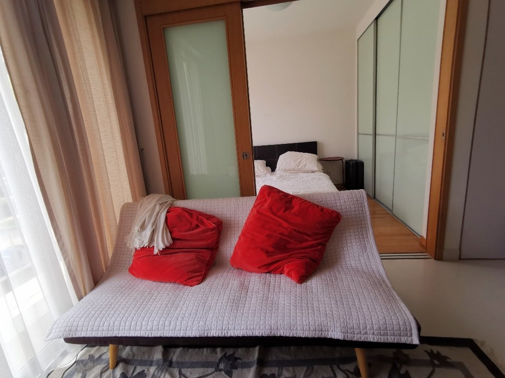 Apartment near to Dhoby Ghaut MRT/Bencoonlen MRT/Rochor MRT/Little India MRT - Rochor 梧槽 - 整个住家 - Homates 新加坡