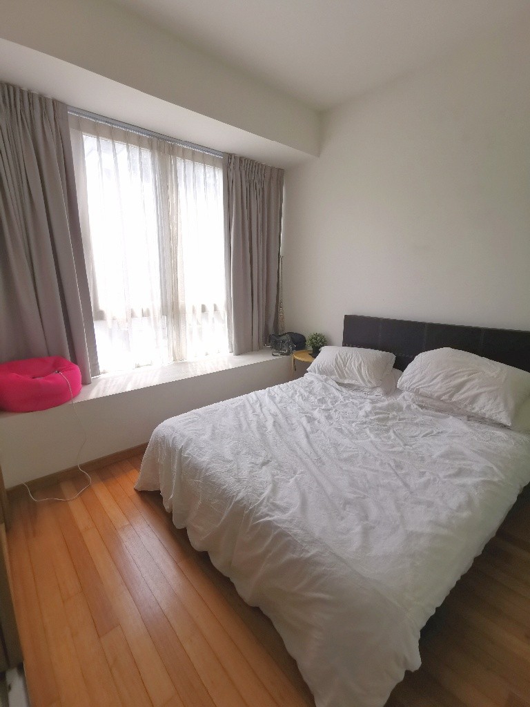 Apartment near to Dhoby Ghaut MRT/Bencoonlen MRT/Rochor MRT/Little India MRT - Rochor 梧槽 - 整个住家 - Homates 新加坡
