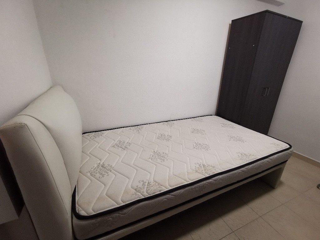 Immediate Available  -- Braddell View--Common Room/Strictly Single Occupancy/no Owner Staying/No Agent Fee/Cooking allowed / Near Braddell MRT / Marymount MRT / Caldecott MRT - Braddell - Bedroom - Homates Singapore