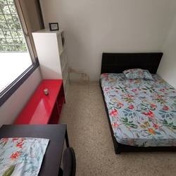 Common Room/Strictly 1 person stay only/Wifi/  Air-con/no Owner Staying /No Agent Fee/Cooking allowed/Near Braddell MRT/Marymount MRT/Caldecott MRT/ Available 17 September - Ang Mo Kio 宏茂桥 - 分租房间 - Homates 新加坡