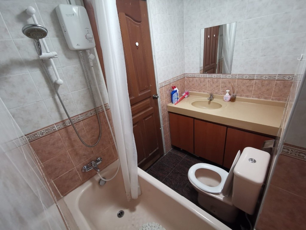 Novena MRT / Mount Pleasant MRT / Available Immediately / Min 3 - 12 Month Reantal / For 1 - 2 - Newton 纽顿 - 整个住家 - Homates 新加坡