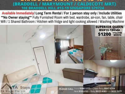 Homates 新加坡 - Braddell 布萊徳 -  BRADDELL VIEW, 10B BRADDELL HILL #11-08, SINGAPORE 579721