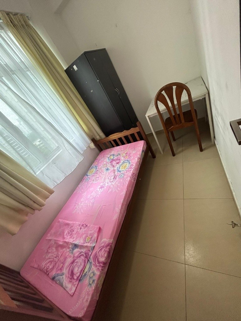 SUMMER GREEN  Toa Payoh/ Boon Keng / Novena MRT/ Available Immediate / Min 3 - 12 Month Rental / Include utilities / No owner stay - Novena 諾維娜 - 整個住家 - Homates 新加坡