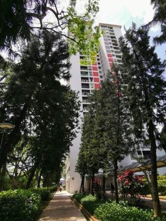 Room For Rent - 107 Spottiswoode Park Road Rm2 - Chinatown 牛车水 - 整个住家 - Homates 新加坡