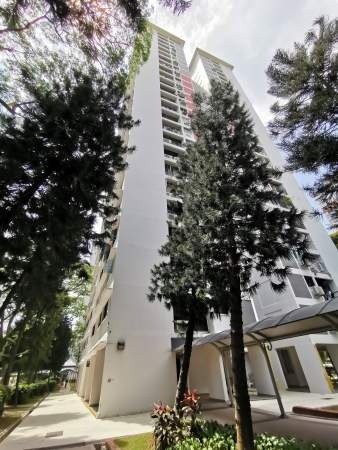 Room For Rent - 107 Spottiswoode Park Road Rm2 - Chinatown 牛车水 - 整个住家 - Homates 新加坡