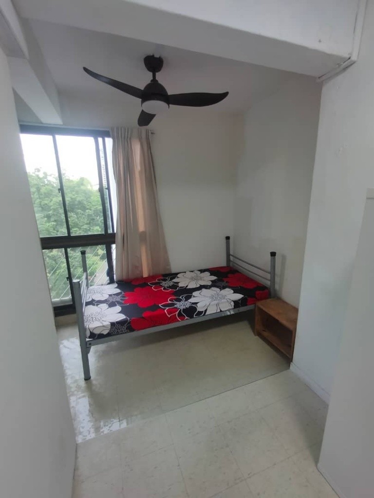 Near Clementi MRT/Dover MRT/ 1P Pine Grove/ Available﻿ Immediately - Bukit Timah 武吉知馬 - 整個住家 - Homates 新加坡