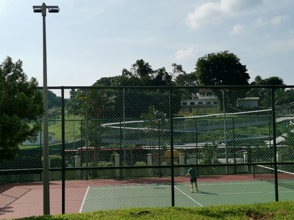 Near Clementi MRT/Dover MRT/ 1P Pine Grove/ Available﻿ Immediately - Bukit Timah 武吉知馬 - 整個住家 - Homates 新加坡