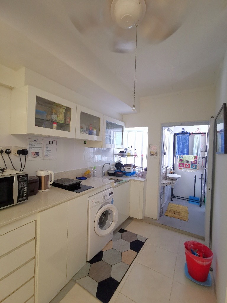 Room for 1Pax / Wifi / No owner staying/ No Agent Fee / Light Cooking allowed/Somerset MRT, Orchard MRT / Available 5 Jan - Orchard 乌节路 - 分租房间 - Homates 新加坡