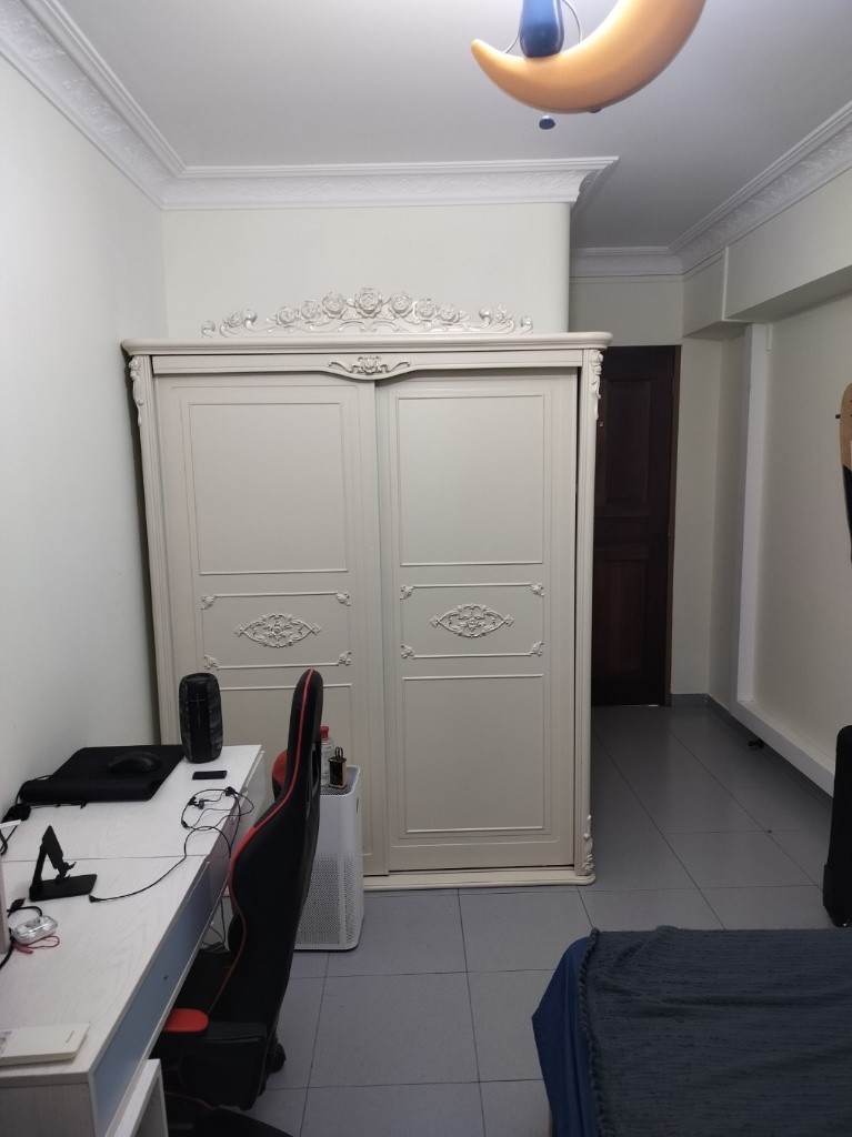 FEMALE ONLY, SOLO COMMON ROOM FOR RENT - Bishan 碧山 - 整个住家 - Homates 新加坡
