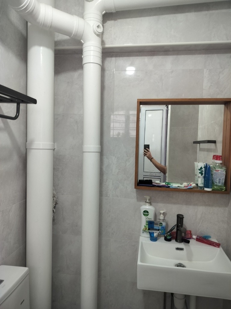 FEMALE ONLY, SOLO COMMON ROOM FOR RENT - Bishan 碧山 - 整个住家 - Homates 新加坡